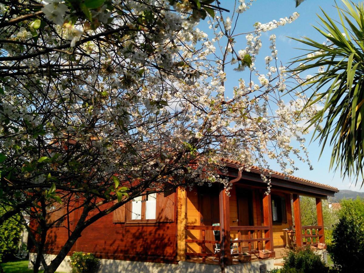 Вилла Mi Cabana Рибадумия Экстерьер фото